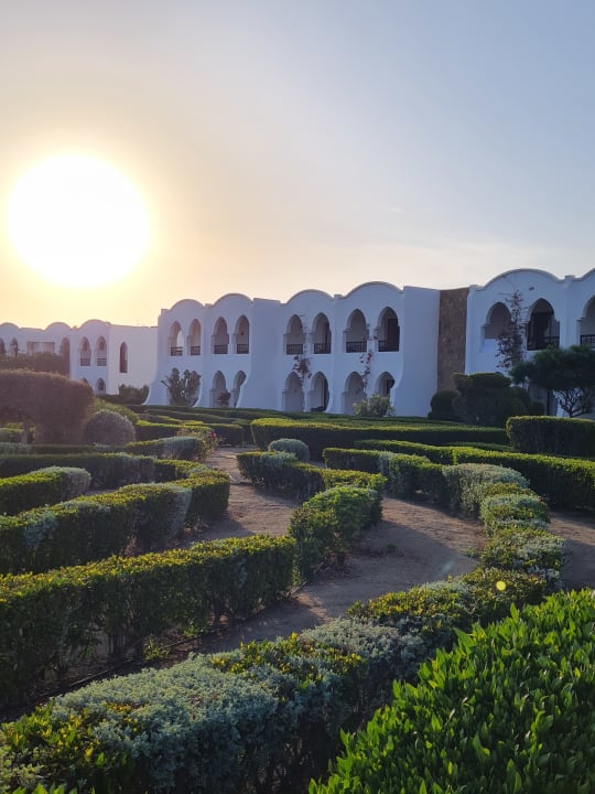 Außenansicht Hotel Gorgonia Beach Resort