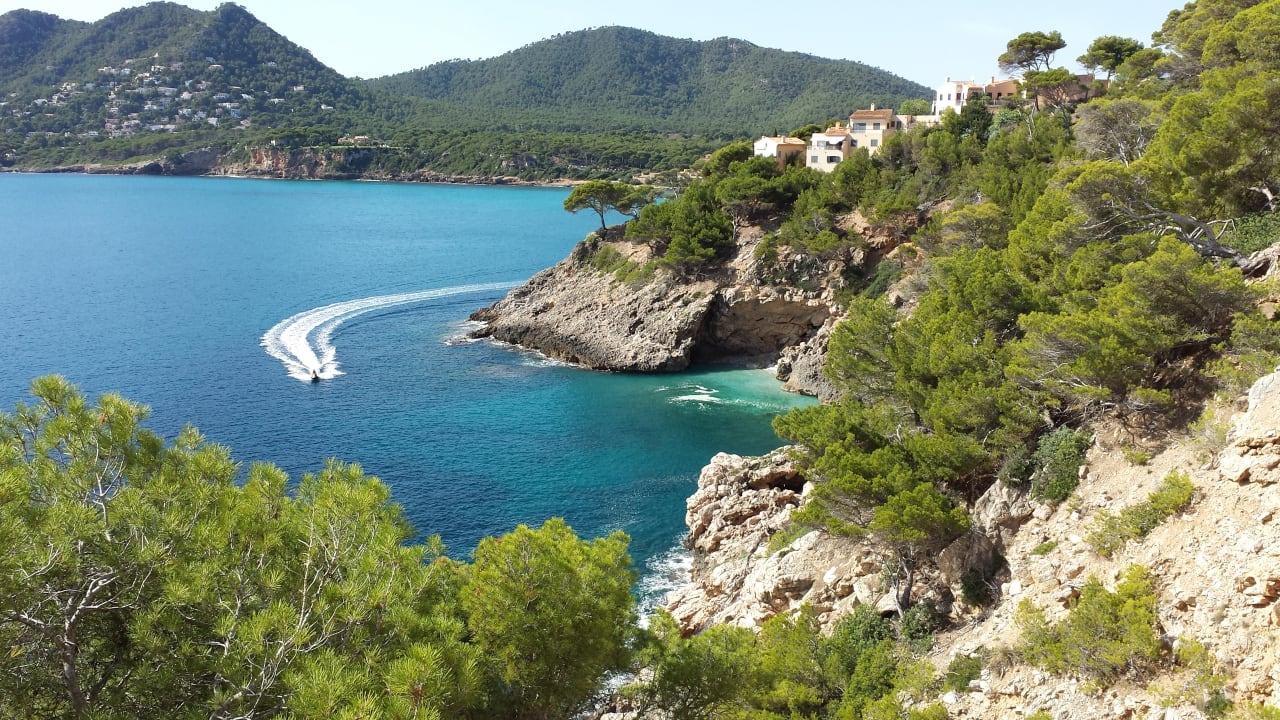 Ausblick VIVA Cala Mesquida Resort & Spa