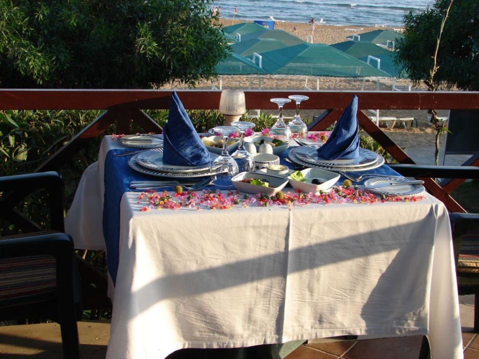 Fisch-Restaurant mit Meerblick Alba Resort Hotel