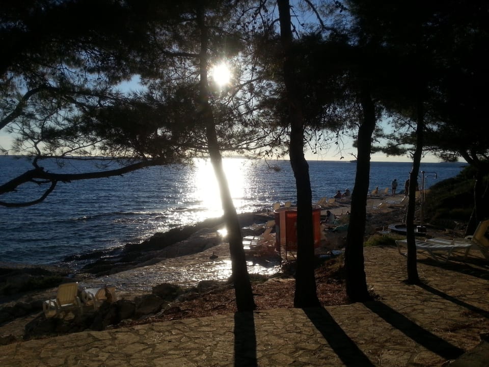 Gleich beim Hotel Family Hotel Vespera