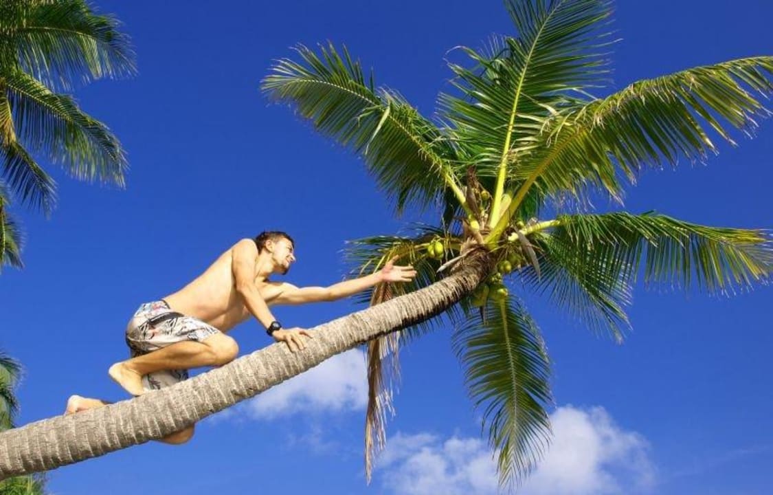 Wycieczki/bezludna wyspa  Guesthouse Dacha Maldives