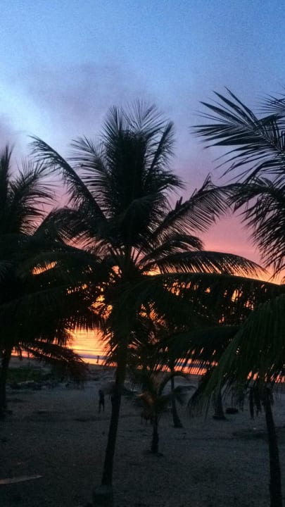 Ausblick TUI BLUE Tamala