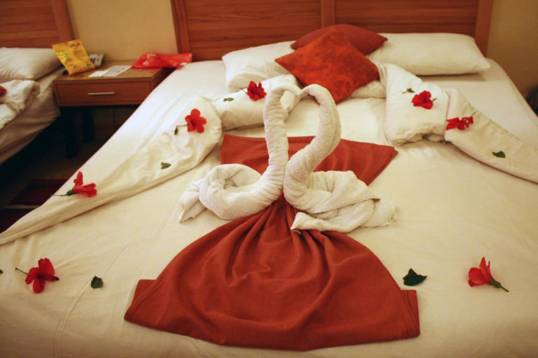 Łabądki Prima Life Makadi Resort