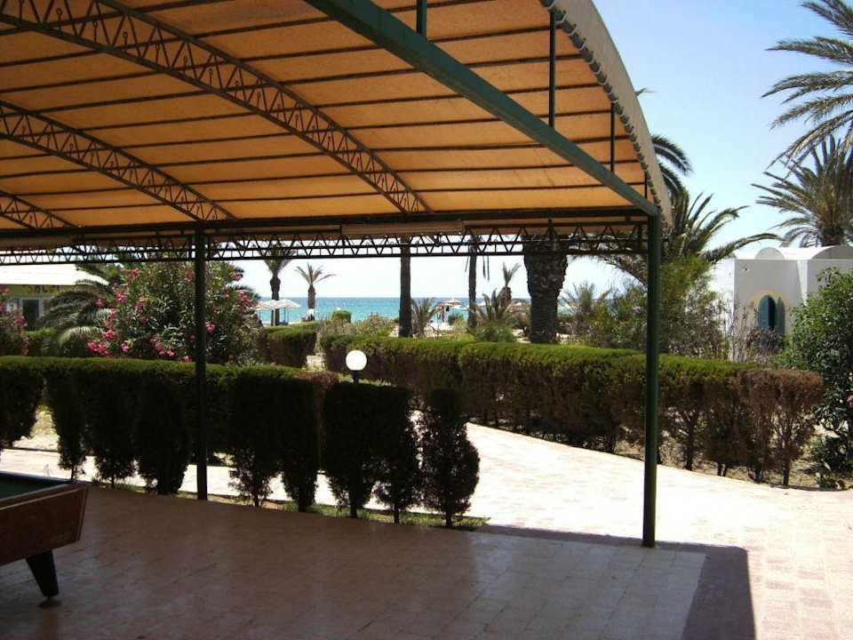 Blick zum Meer! Royal Lido Resort & Spa