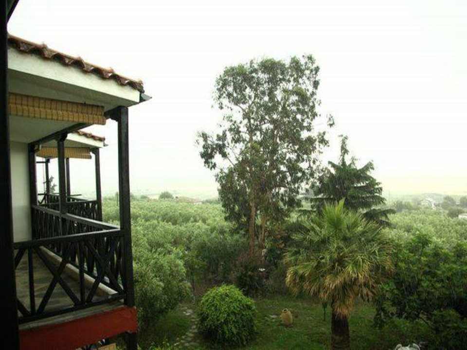 Aussicht/Ausblick Haus des Künstlers