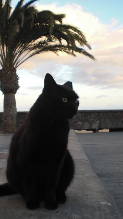 Sonstiges Sahara Beach Club