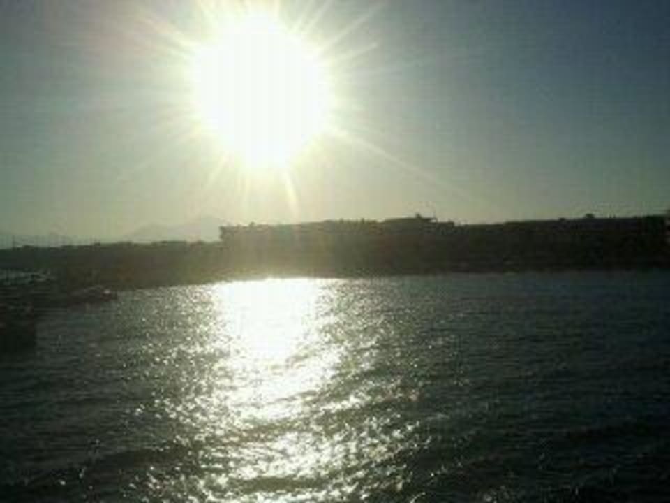 Sonnenuntergang vom Schiff Beach Albatros Resort