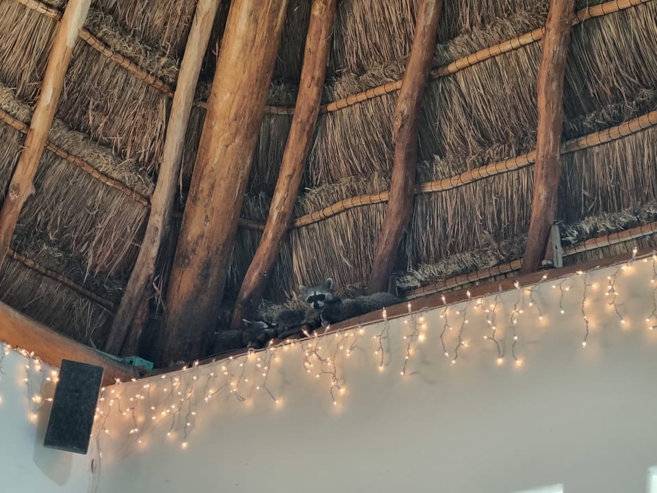 Lobby Villas HM Palapas del Mar