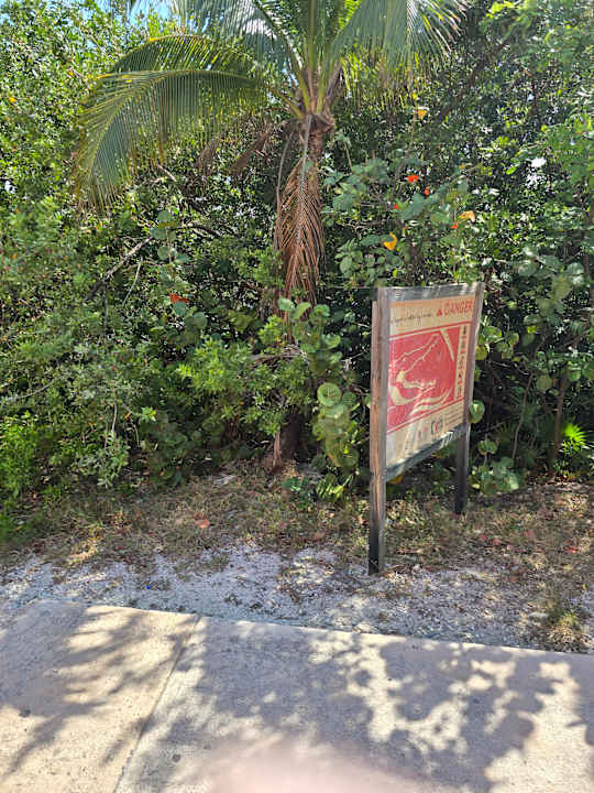 Außenansicht Hotel Riu Caribe