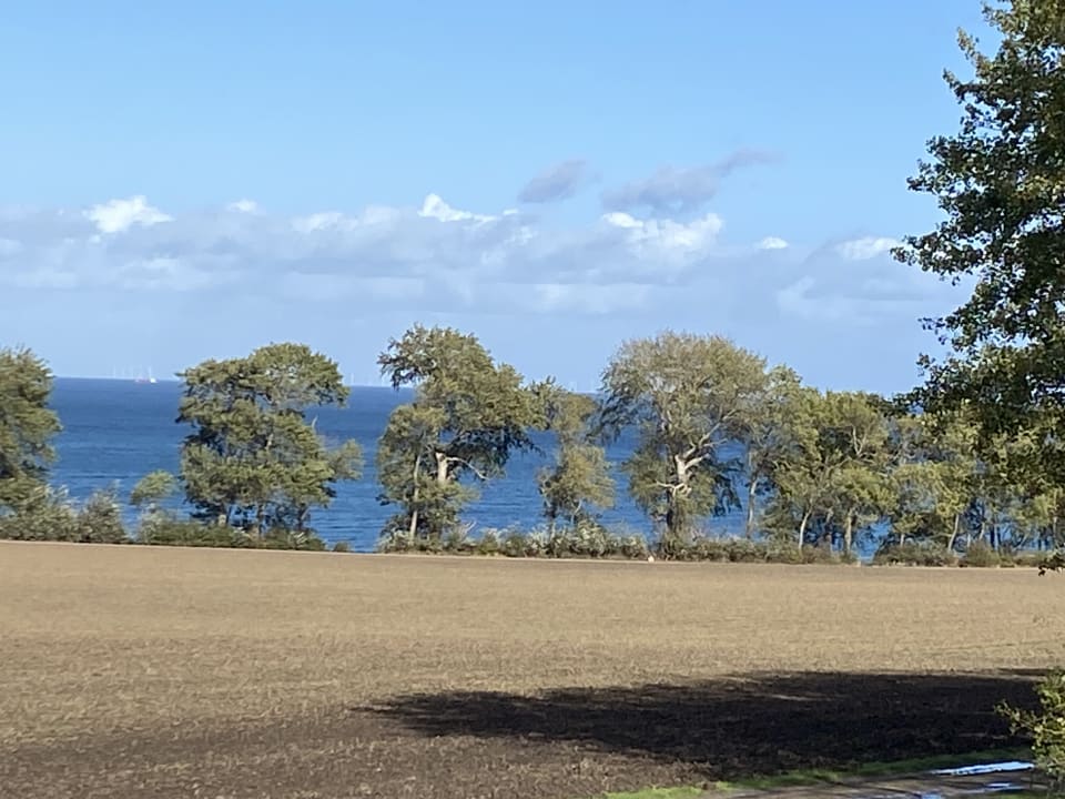 Ausblick Ferienbauernhof Liesenberg mit Meerblick