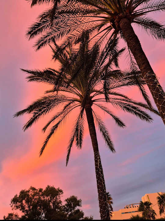 Ausblick Hotel Vibra Beverly Playa