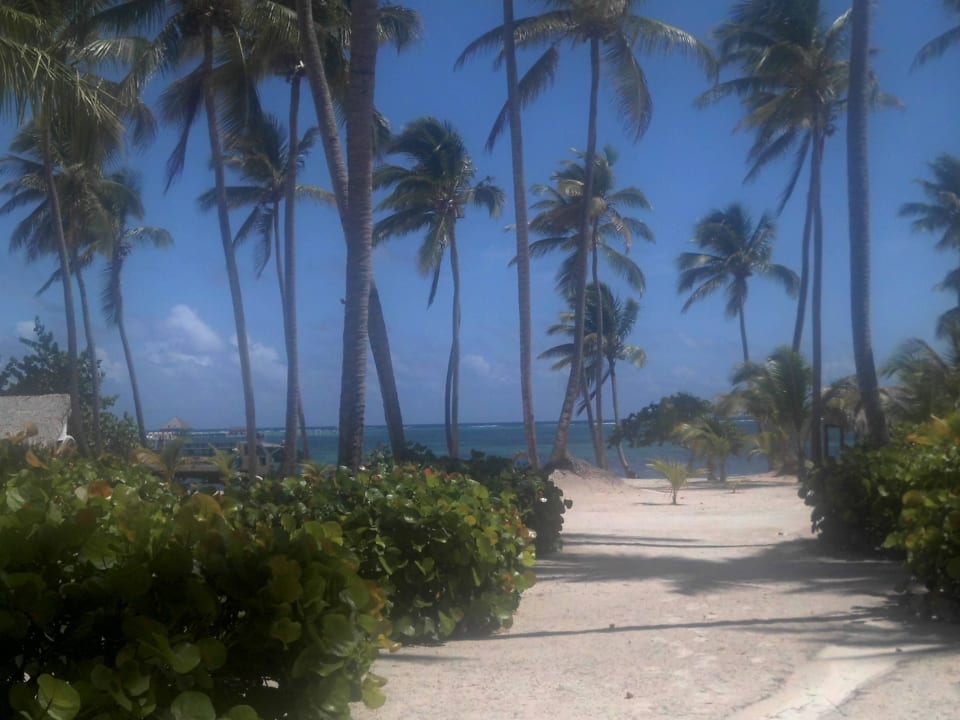 Einer der Wege zum Meer Grand Palladium Select Bávaro Resort & Spa