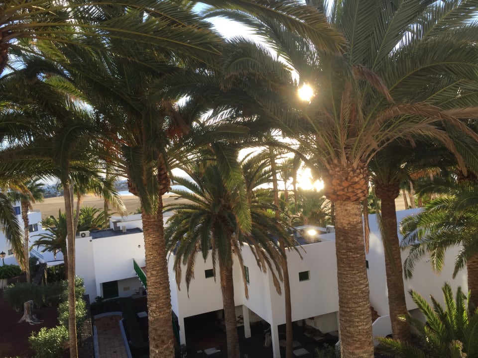 Gartenanlage Hotel Riu Paraiso Lanzarote