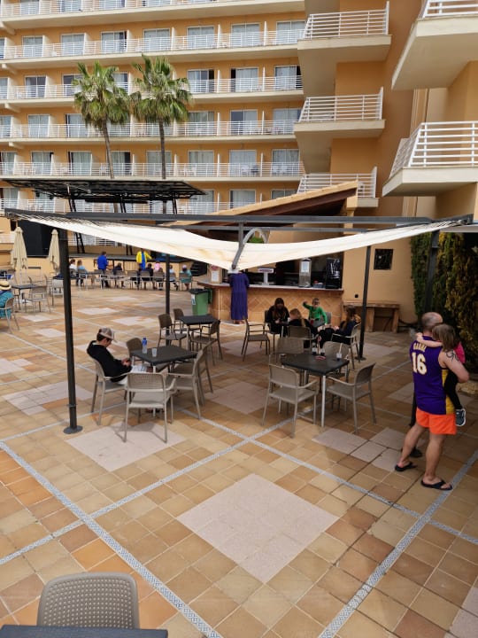 Gastro MLL Palma Bay Club Resort