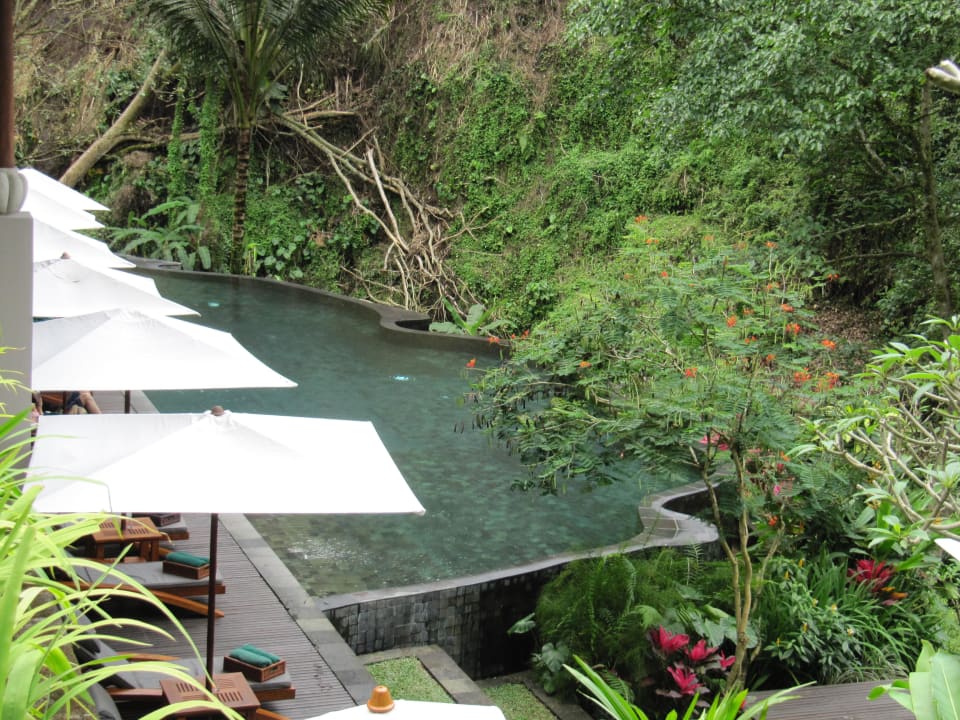 Pool beim Spa Maya Ubud Resort & Spa Bali
