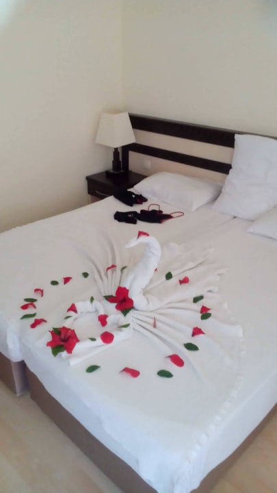 Mein lieber Schwan.... Hotel Orfeus Park