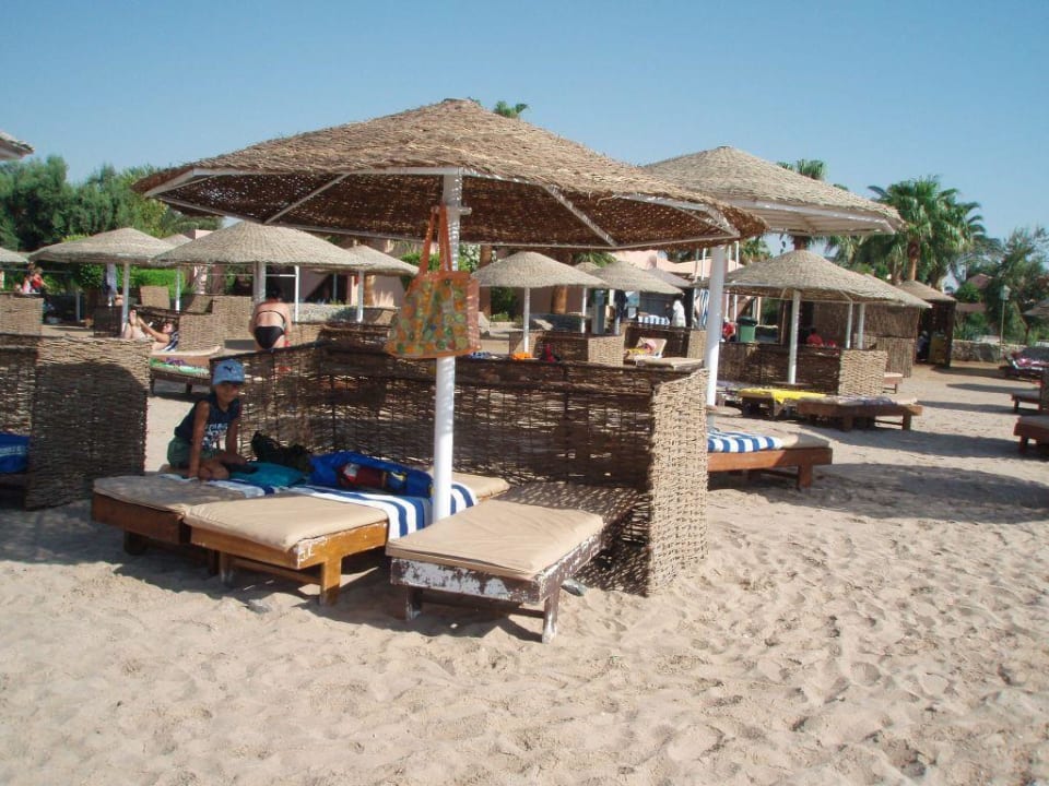 Urlaub Eagles Paradise Abu Soma