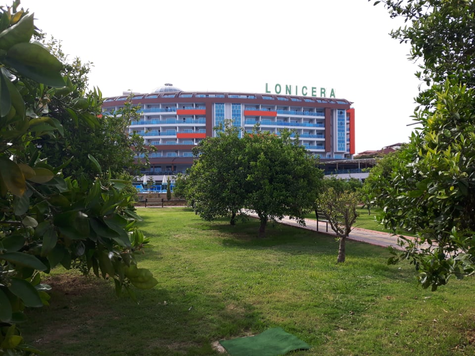 Außenansicht Lonicera Resort & Spa Hotel