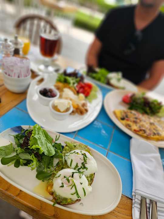 Gastro Acanthus Cennet Barut Collection
