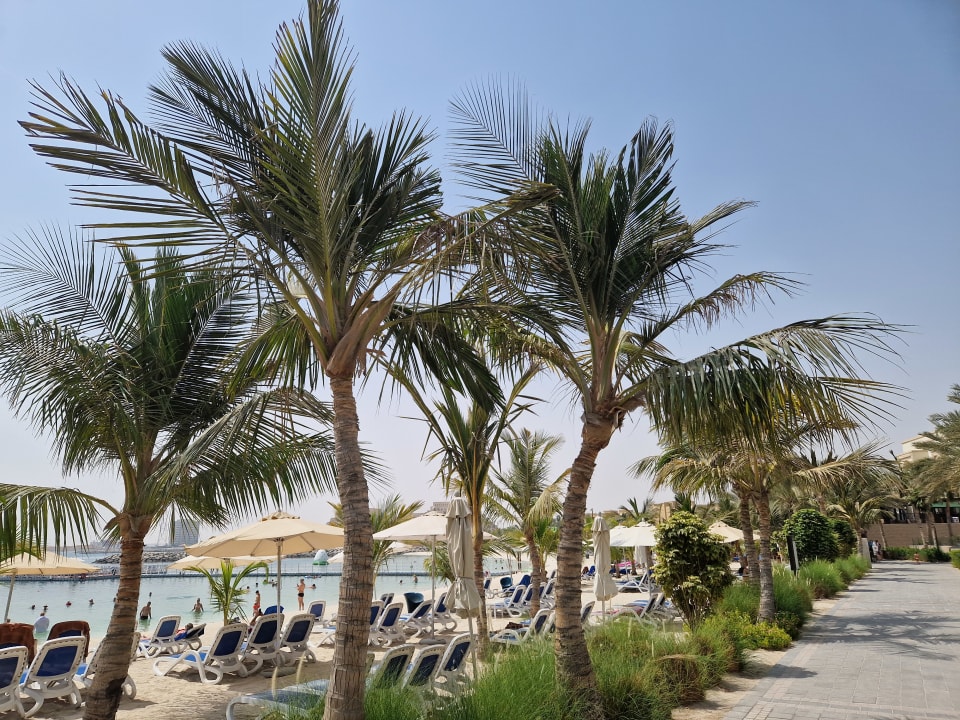 Pool DoubleTree by Hilton Resort & Spa Marjan Island