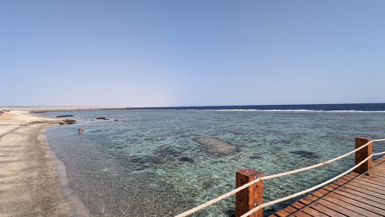 Ausblick Pickalbatros Sea World Resort - Marsa Alam