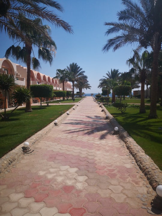 Gartenanlage Three Corners Sea Beach Resort