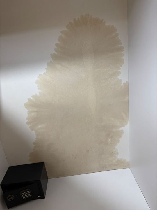 Zimmer Hotel Alexander House