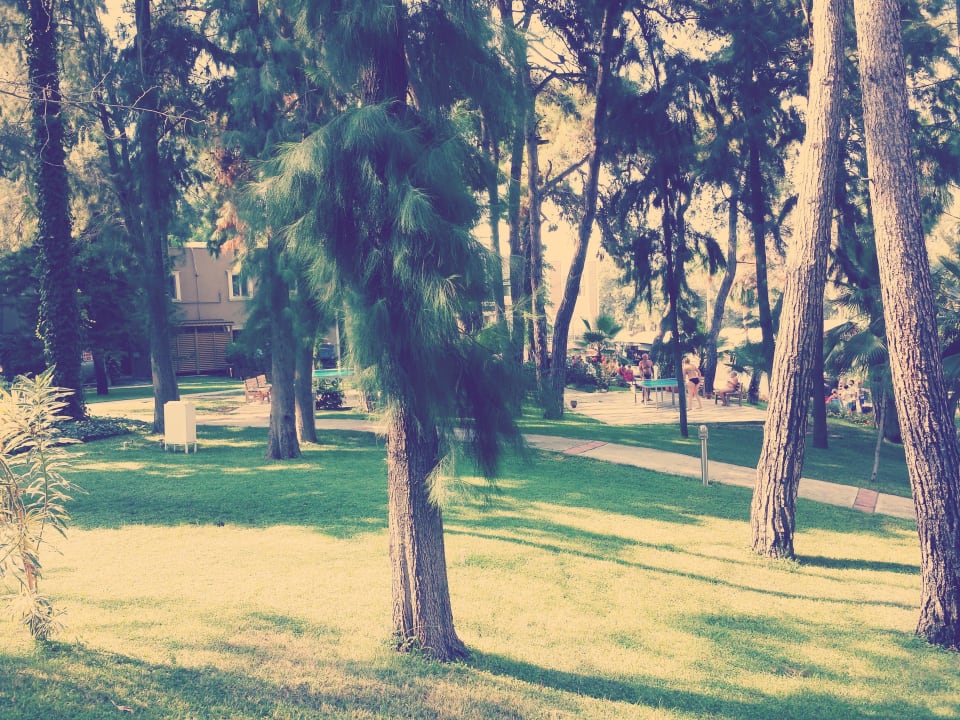 Garten Club Sidelya Hotel