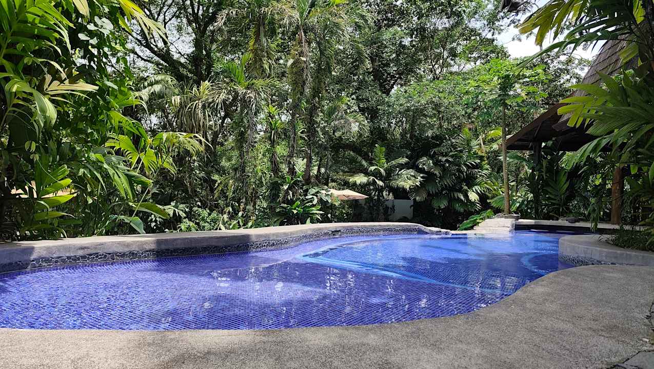 Pool Hotel Lost Iguana