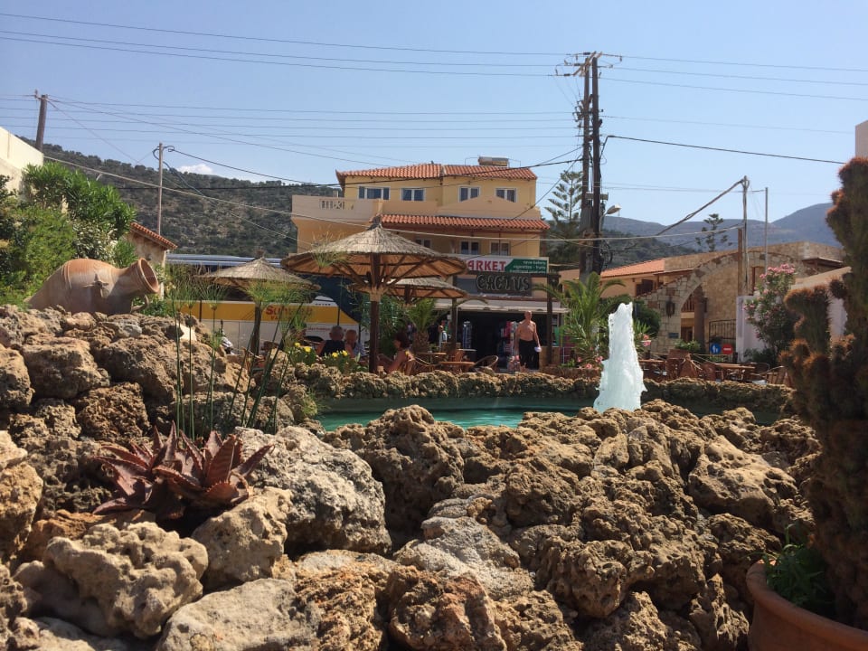 Strandbar Cactus Beach