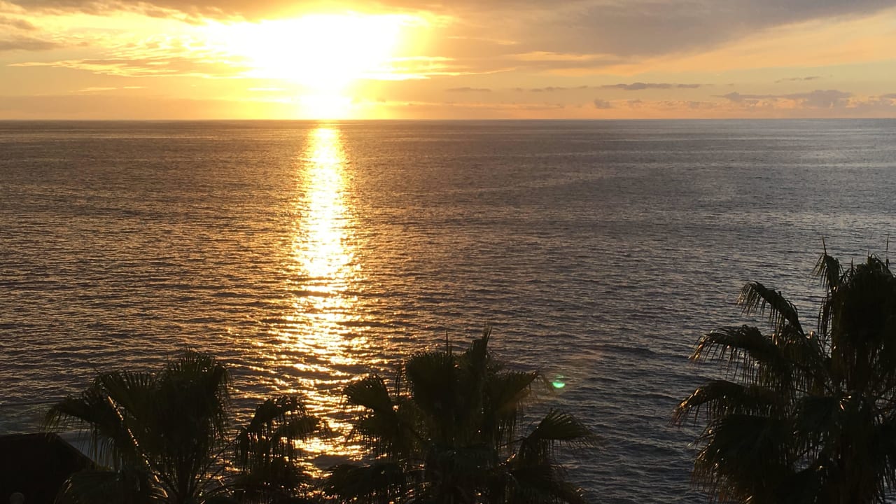 Zimmer 503 Melia La Palma Hotel