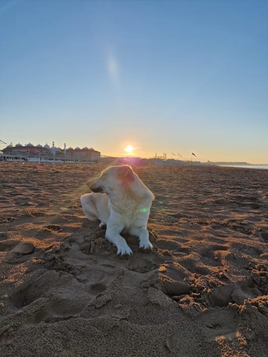 Strand Aydinbey Kings Palace & Spa