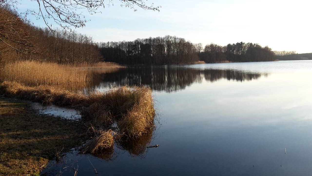 Ausblick Seehotel Luisenhof