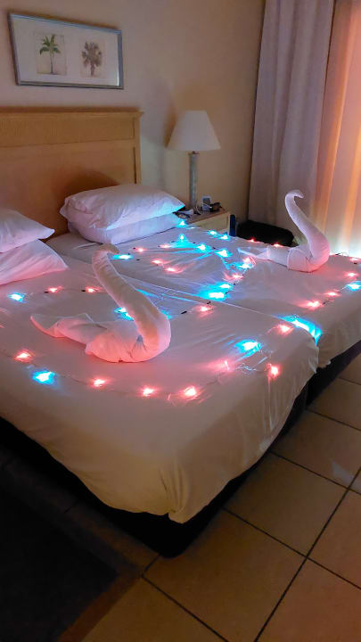 Zimmer Hotel JAZ Makadi Star & Spa