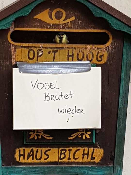 Sonstiges Haus Bichl