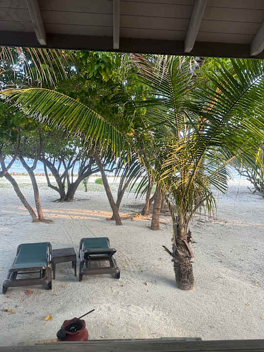 Gartenanlage Kuredu Island Resort & Spa