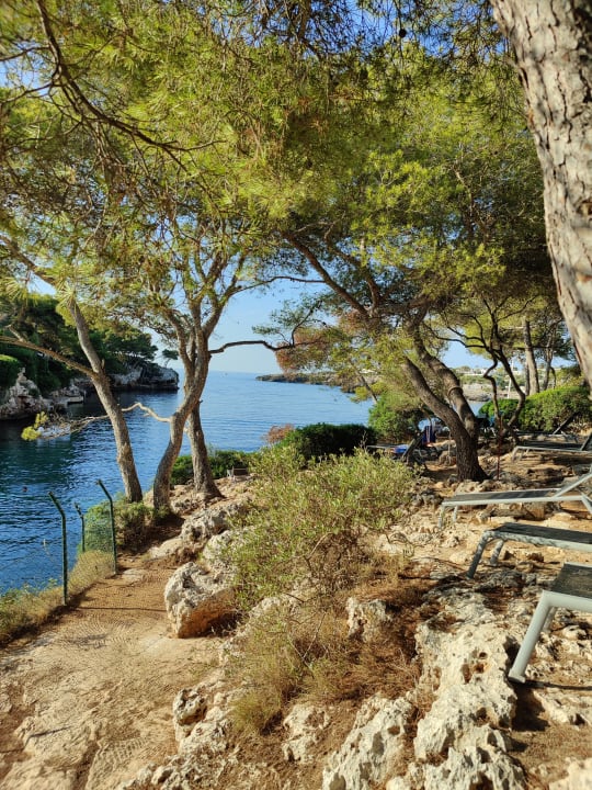 Ausblick ROBINSON CALA SERENA