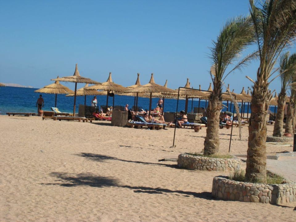 Strand Beach Albatros Resort