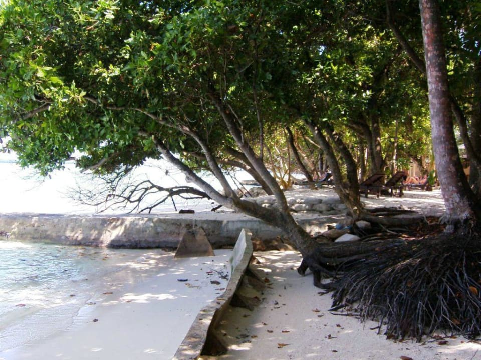 057 Strand nach rechts fotografiert Vilamendhoo Island Resort & Spa