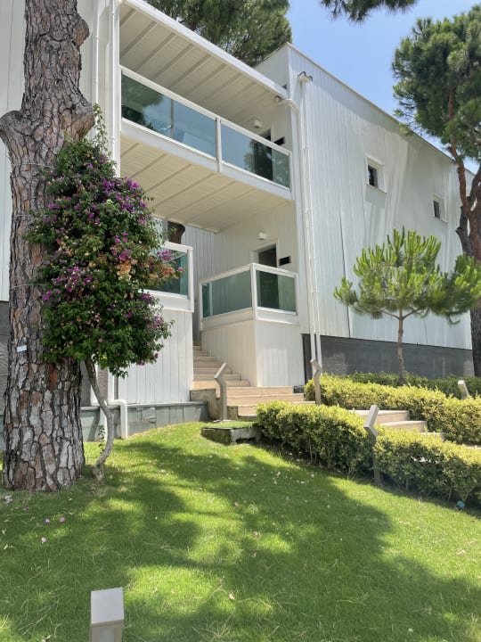 Zimmer Papillon Zeugma Relaxury