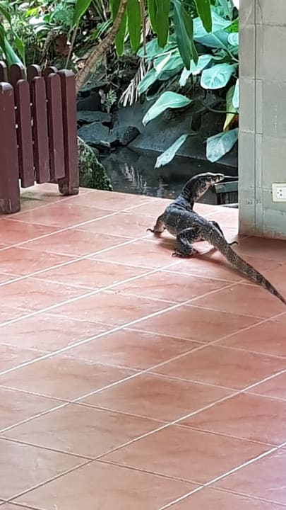 Sonstiges Khao Lak Merlin Resort