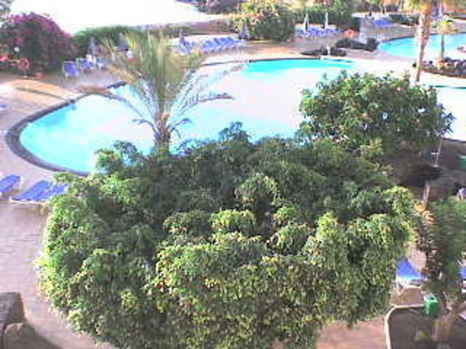 Pool mit Grünzeug Hotel Grand Teguise Playa