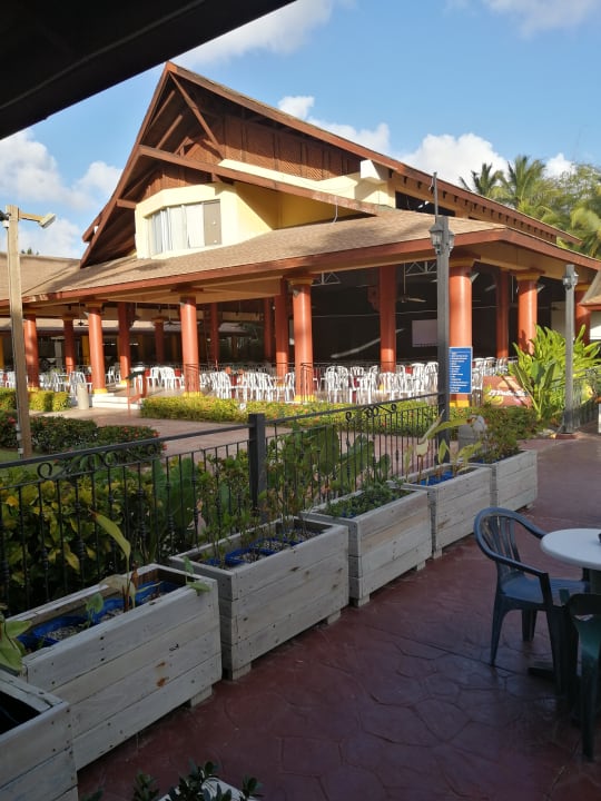 Gastro VIK Hotel Arena Blanca