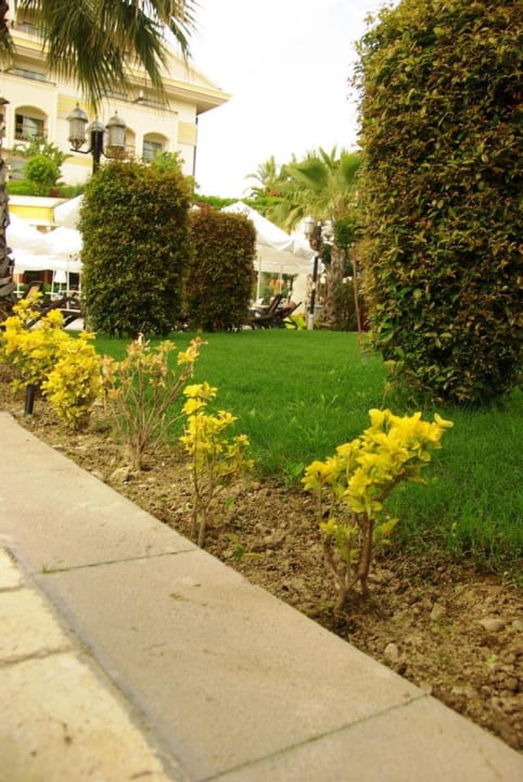 Überall Blumen Diamond Excellence Resort & Spa