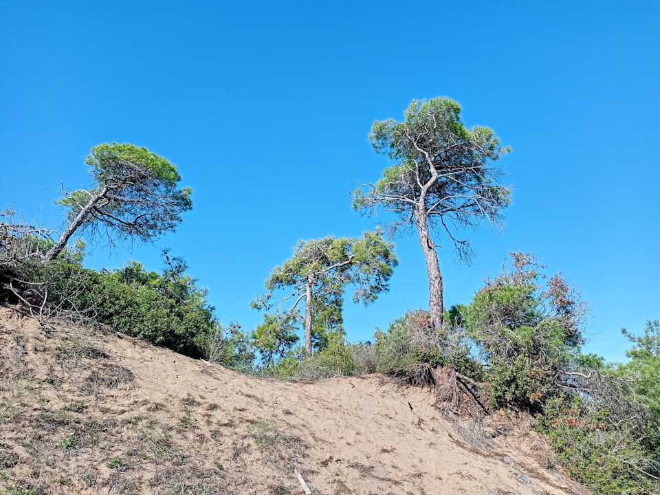 Strand LRS Port River Hotel & Spa