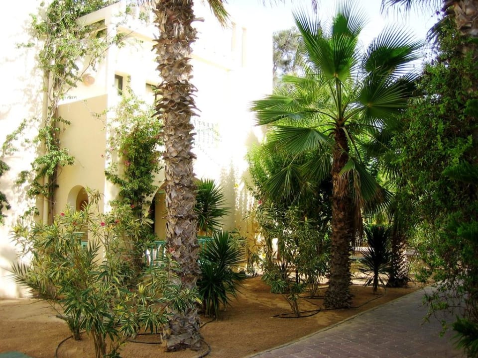 Hotel Aldiana Djerba Atlantide Aldiana Club Djerba Atlantide