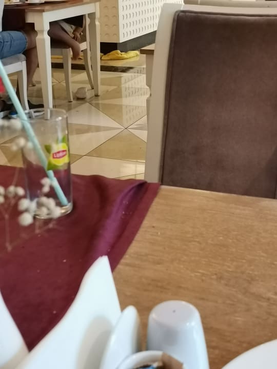 Gastro Well Palace Side