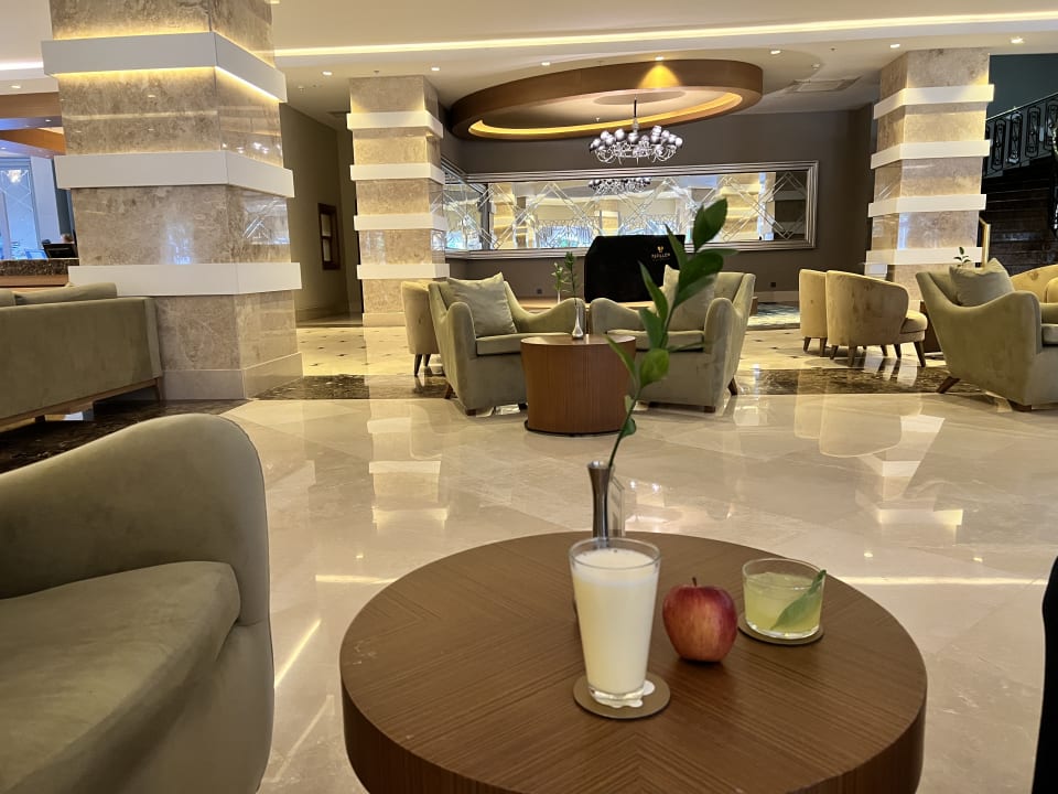 Gastro Papillon Ayscha