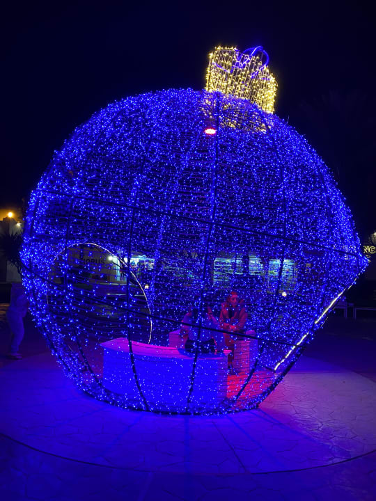 Sonstiges Desert Rose