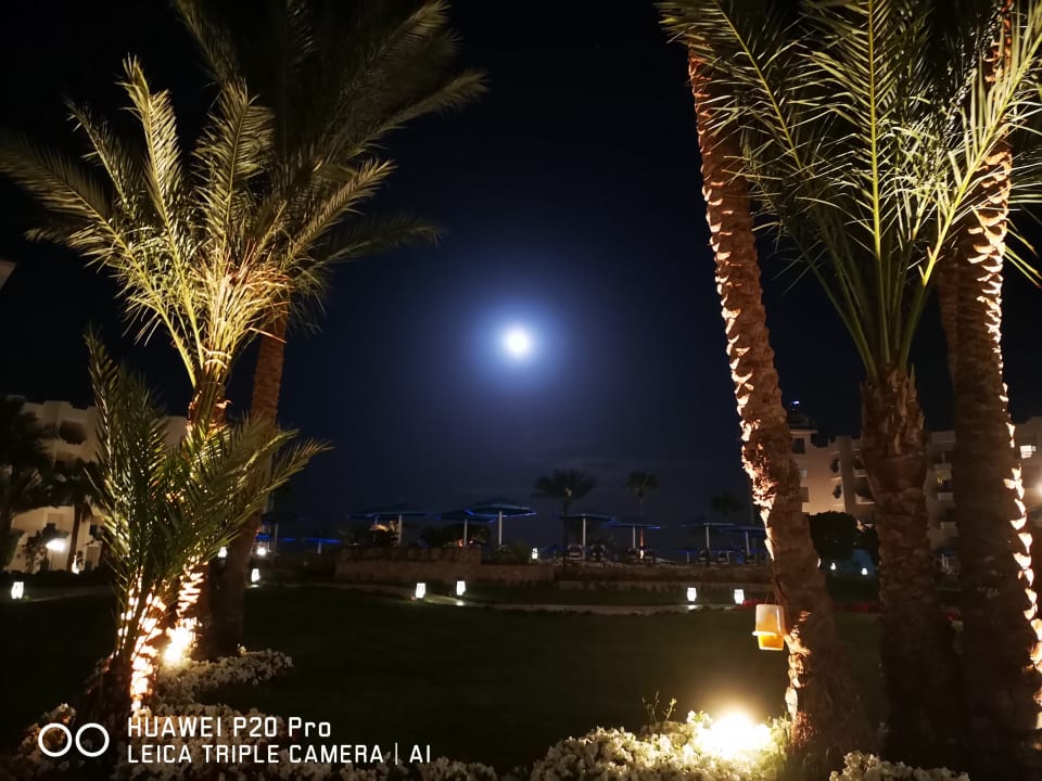 Gartenanlage Moreno Horizon Spa & Resort